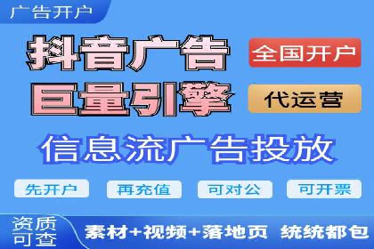 百度广告投放策略与效果评估案例